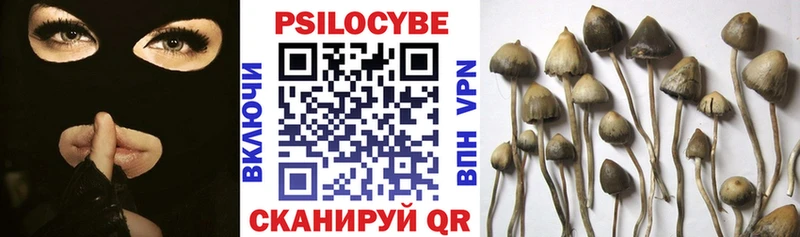 где купить наркотик hydra рабочий сайт Галлюциногенные грибы мухоморы Дно